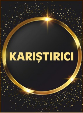 KARIŞTIRICILAR